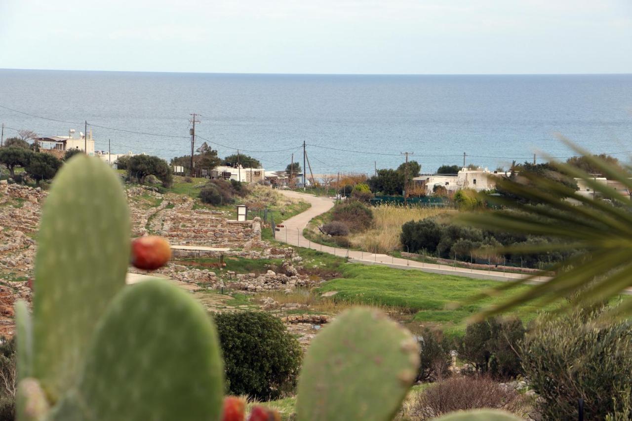 Little Blue Villa Zakros Exterior photo