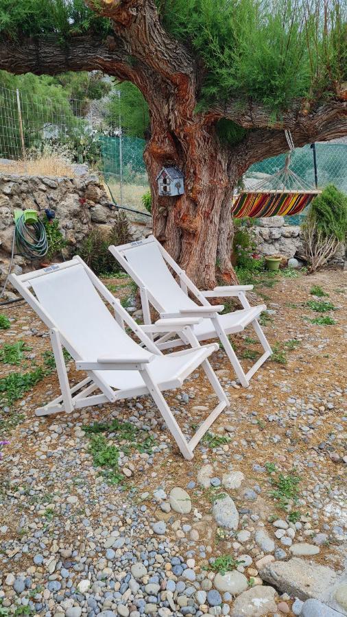 Little Blue Villa Zakros Exterior photo